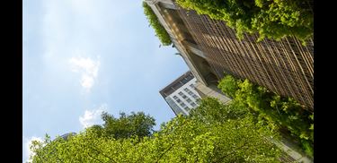 Glass.Mapper.Sc.Fields.Image?.Alt