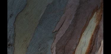 Glass.Mapper.Sc.Fields.Image?.Alt