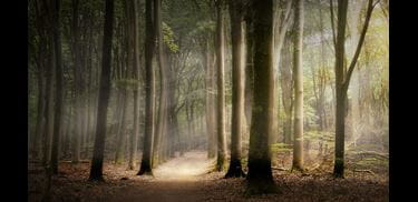 Glass.Mapper.Sc.Fields.Image?.Alt