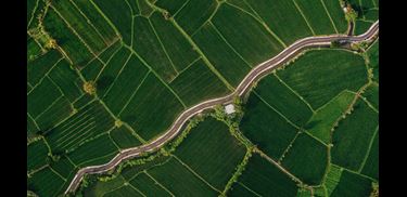 Glass.Mapper.Sc.Fields.Image?.Alt