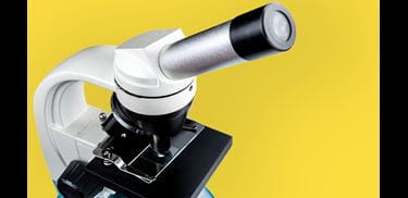 Glass.Mapper.Sc.Fields.Image?.Alt