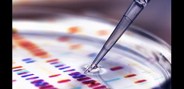 Glass.Mapper.Sc.Fields.Image?.Alt