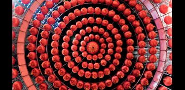 Glass.Mapper.Sc.Fields.Image?.Alt