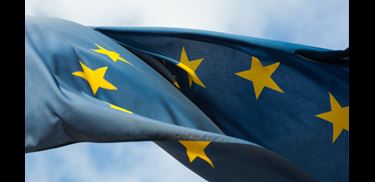 Glass.Mapper.Sc.Fields.Image?.Alt