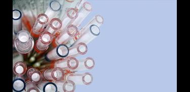 Glass.Mapper.Sc.Fields.Image?.Alt