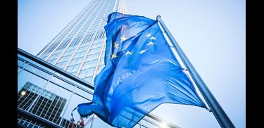 Glass.Mapper.Sc.Fields.Image?.Alt