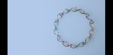 Glass.Mapper.Sc.Fields.Image?.Alt