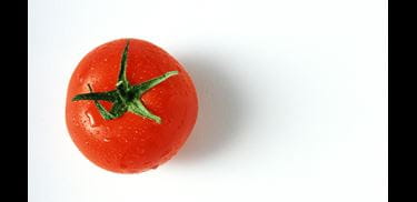 Glass.Mapper.Sc.Fields.Image?.Alt