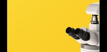 Glass.Mapper.Sc.Fields.Image?.Alt