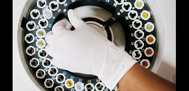 Glass.Mapper.Sc.Fields.Image?.Alt