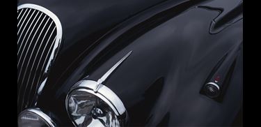 Glass.Mapper.Sc.Fields.Image?.Alt